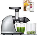 AMZCHEF Extracteur Jus - Extracteur de Jus de Fruits et Légumes - Presses-agrumes à Froid sans BPA avec 2 Tasses et Brosse - Fonction de Mastication Inversée pour Éviter les Blocages - Argent(30X19.6X30CM/Argent)